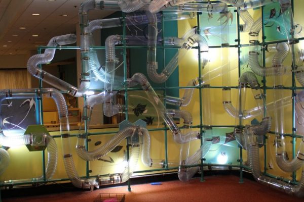 Photo credit: https://seattlechildrensmuseum.org