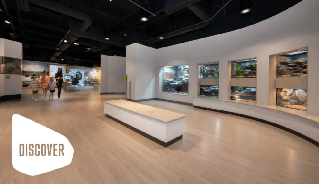 Photo credit: https://www.cookmuseum.org