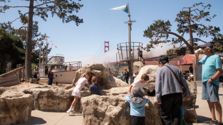 Photo credit: https://bayareadiscoverymuseum.org