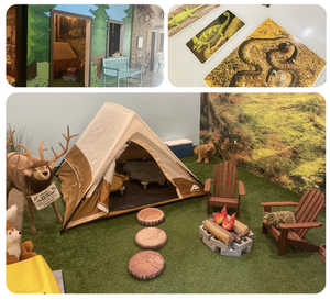 Photo credit: https://www.chicochildrensmuseum.org