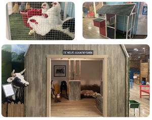 Photo credit: https://www.chicochildrensmuseum.org