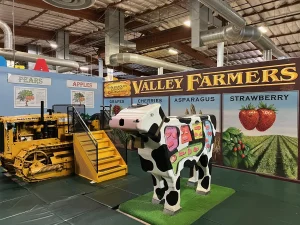 Photo credit: https://www.childrensmuseumstockton.org