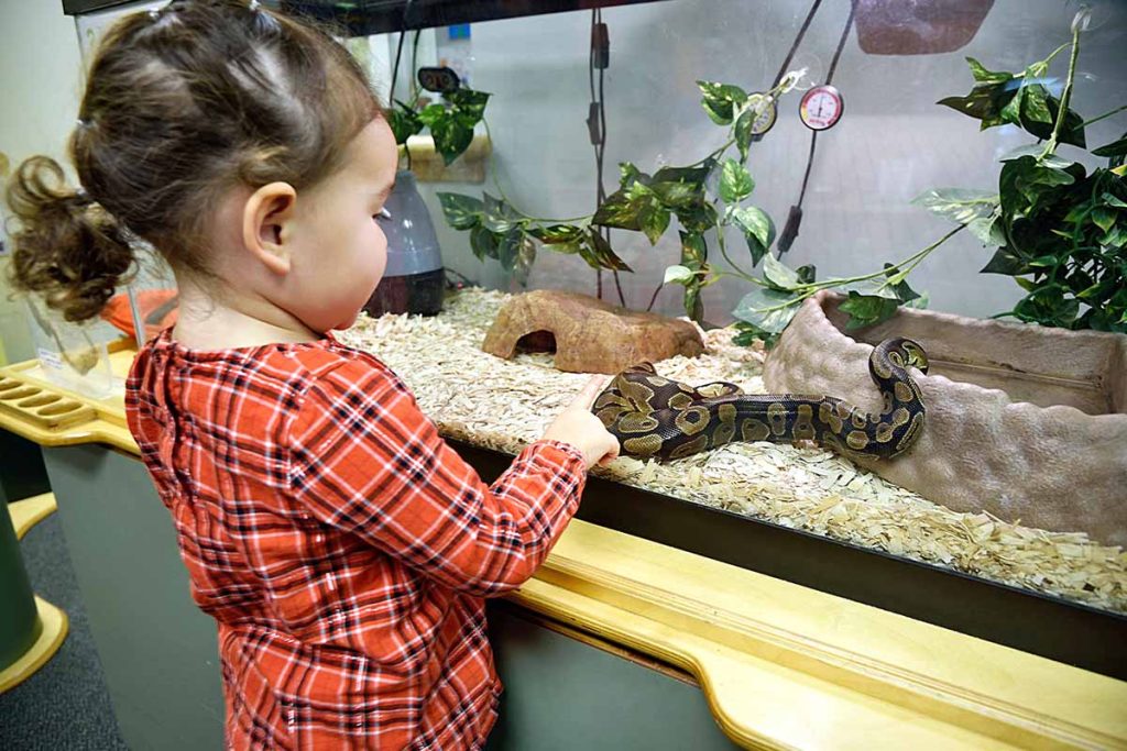 Photo credit: https://everwondermuseum.org