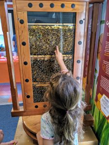 Photo credit: https://www.nianticchildrensmuseum.org