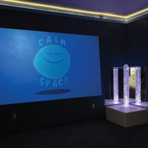 Photo credit: https://www.discoverycentermuseum.org