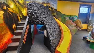 Photo credit: https://curiouskidsmuseum.org