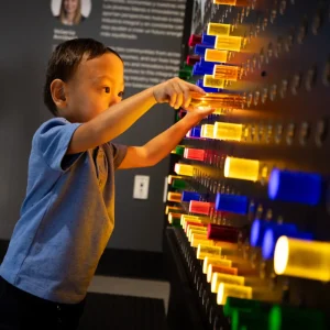 Photo credit: https://www.discoverykidslv.org