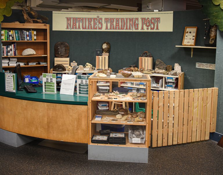 Photo credit: https://www.cincymuseum.org