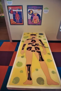Photo credit: https://buckskids.org