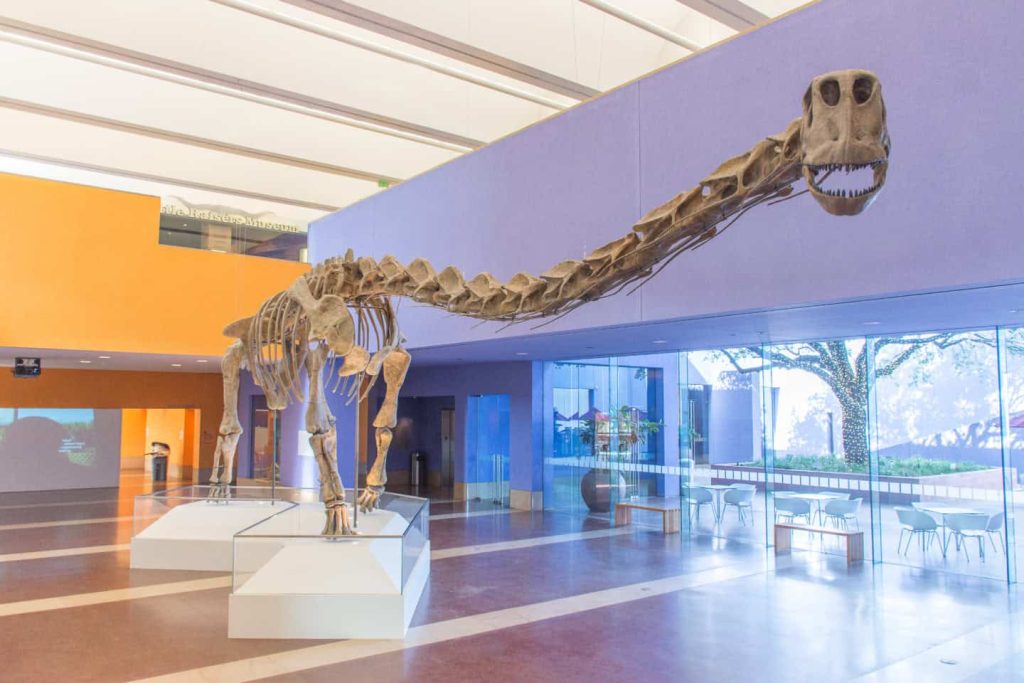Photo credit: https://www.fwmuseum.org