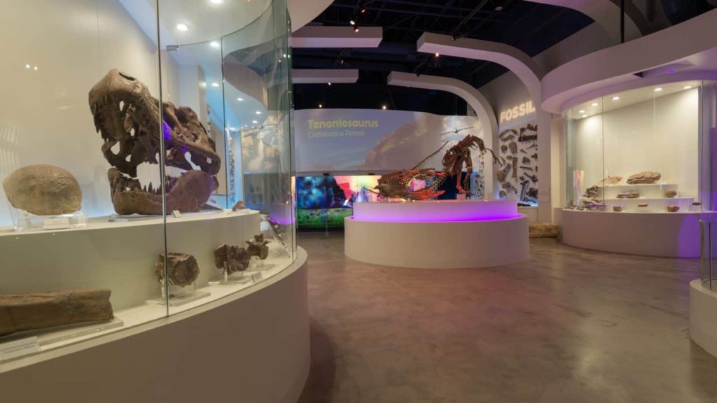 Photo credit: https://www.fwmuseum.org