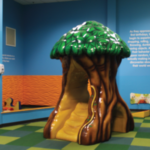 Photo credit: https://www.childrensmuseumofrichmond.org