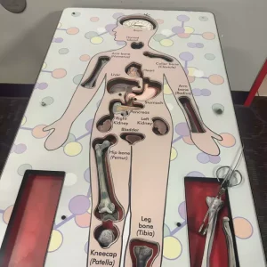 Photo credit: https://funmuseum.org