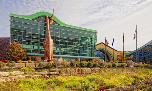 Photo credit: https://www.childrensmuseum.org/